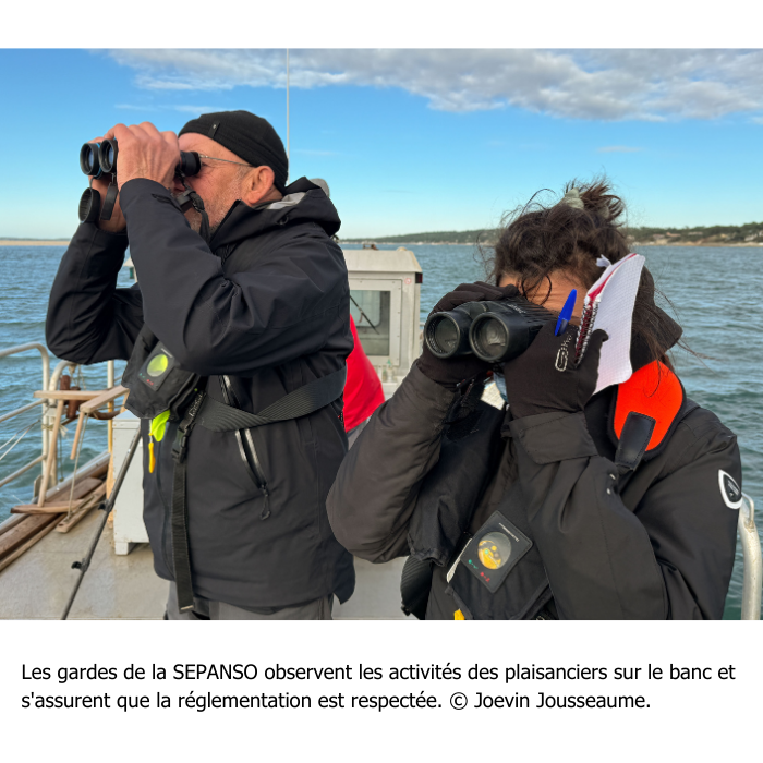 enquÊte banc d’arguin un paradis sous tension 13