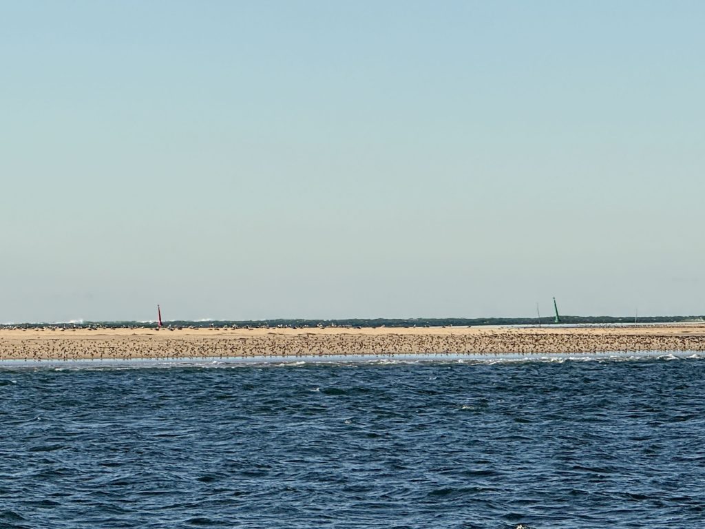 joevin jousseaume banc d'arguin 7