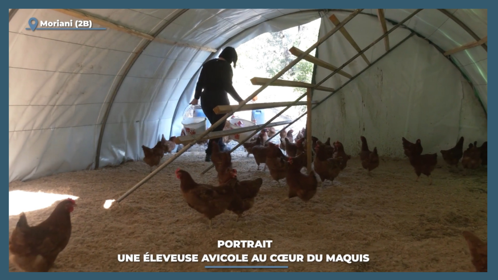 chargée de communication